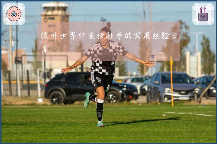 提升世界杯竞猜胜率的实用经验分享