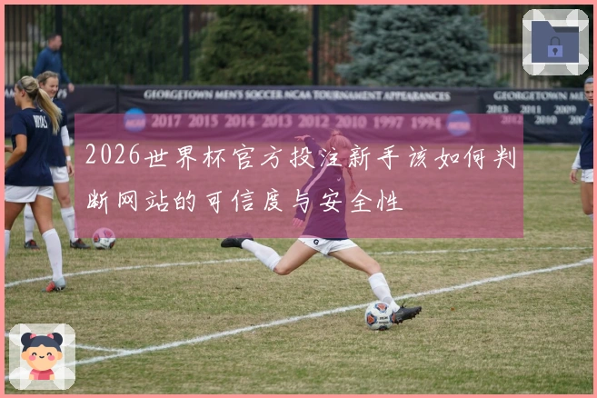 2026世界杯官方投注新手该如何判断网站的可信度与安全性