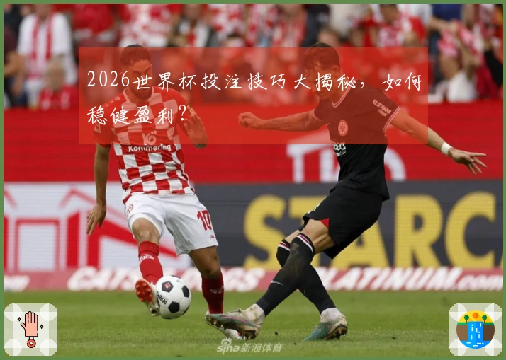 2026世界杯投注技巧大揭秘，如何稳健盈利？