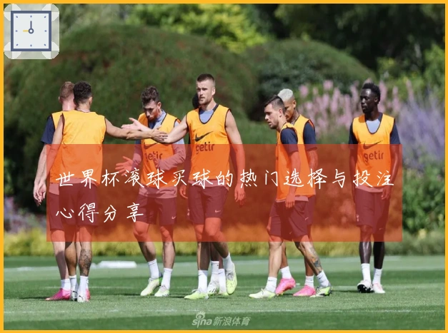 世界杯滚球买球的热门选择与投注心得分享