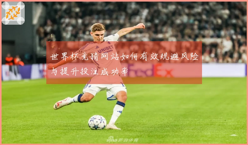 世界杯竞猜网站如何有效规避风险与提升投注成功率