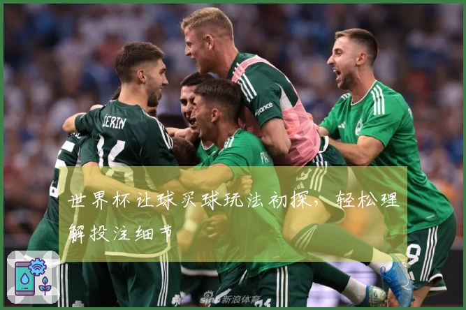 世界杯让球买球玩法初探，轻松理解投注细节